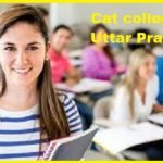 Cat Colleges Uttar Pradesh